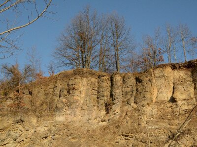 ASCII                                       