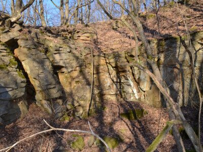 ASCII                                       