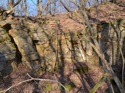 ASCII                                       