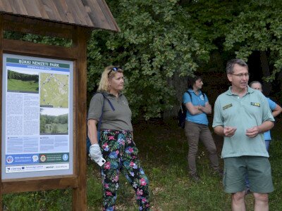 ASCII                                       