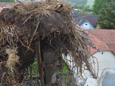 ASCII��� �����������������������������������