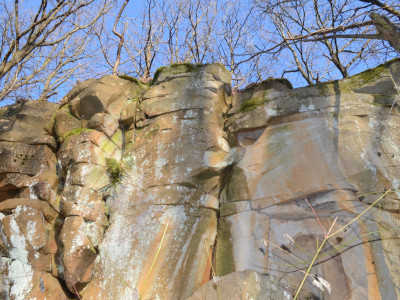 ASCII                                       