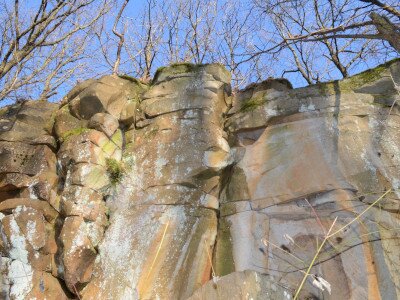 ASCII                                       