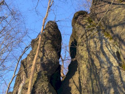 ASCII                                       