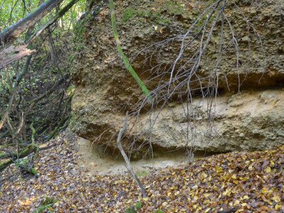 ASCII                                       