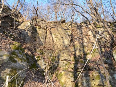 ASCII                                       