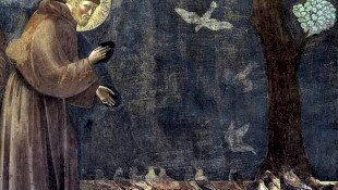 Assisi Szent Ferenc ünnepe az Ősmaradványoknál