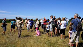 A szalakótáktól a Bükkalja élővilágáig