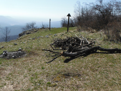 DSCF1644