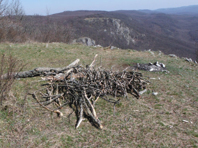 DSCF1642