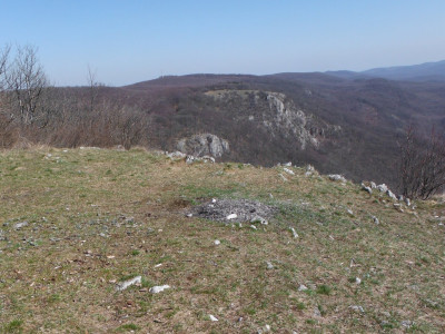 DSCF1649