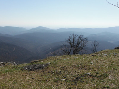 DSCF1647