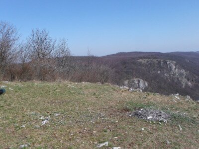 DSCF1648