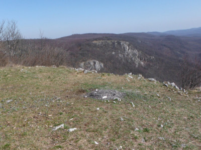 DSCF1649