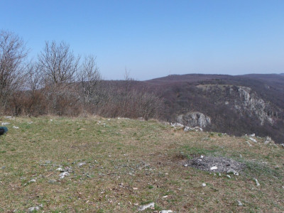DSCF1648