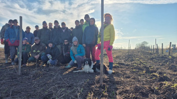 A társadalmi önkéntesség jelentősége, avagy VI. Békatutaj faültetés