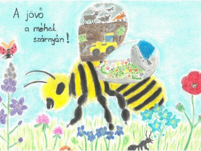 III_1.hely_Juhász Flóra