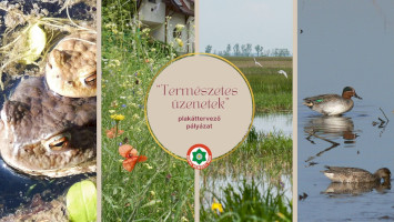 A „Természetes üzenetek” plakáttervező pályázat díjazottjai