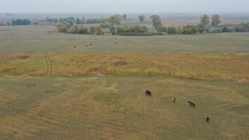 A természetvédelmi területkezelés feltételeinek megteremtése a Borsodi-Mezőség Tájvédelmi Körzet területén, a Batúz-tanyán - KEHOP_PLUSZ-3.2.1-24-2024-00002