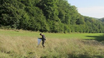 Az utolsó szalmaszál - Mit kerestek a fecskék a „fűben”?!