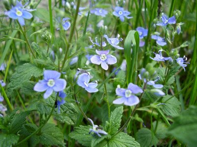                                                                                                                              