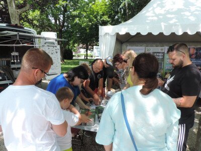                                                                                                                                 