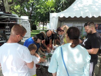                                                                                                                                 