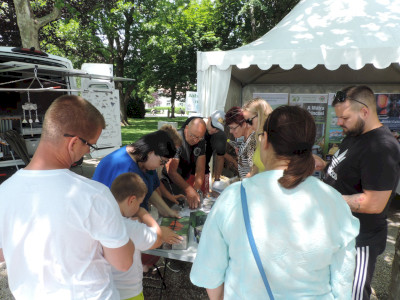                                                                                                                                 