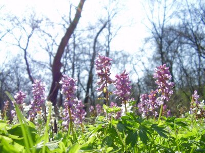                                                                                                                              