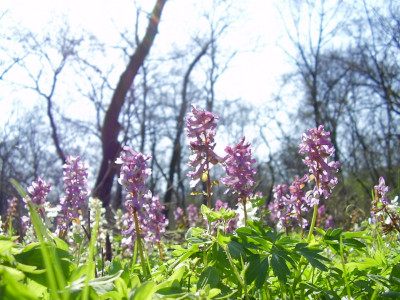                                                                                                                              