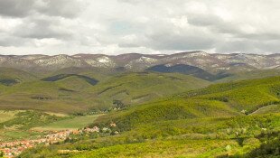 „BÁBAKALÁCS” TERMÉSZETISMERETI VETÉLKEDŐ - 2024/2025-ös tanév