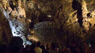 Barlangok Hónapja: Denevérlesen a Szent István-barlangban