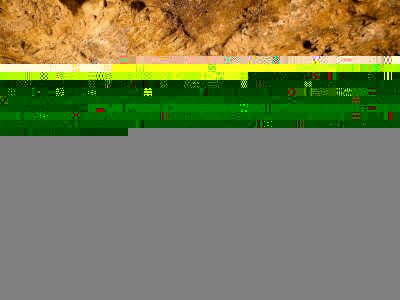 28580754_1928414407187437_600353434_o