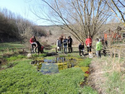                                                                                                                                 