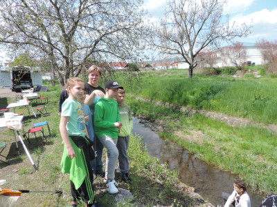                                                                                                                                 