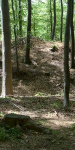 Bélapátfalva - Szilvásvárad, Kelemen széke tanösvény