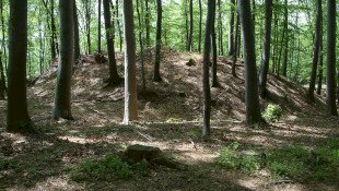 Bélapátfalva - Szilvásvárad, Kelemen széke tanösvény