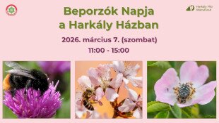 Beporzók Napja a Harkály Házban