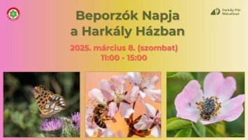 Beporzók Napja a Harkály Házban