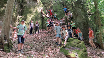 Beszámoló a 2025 nyári Bikk Betyár természetismereti táborunkról