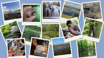 BETELT - Vizes Élőhelyek Világnapja