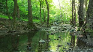 BETELT - Vizes élőhelyek világnapja