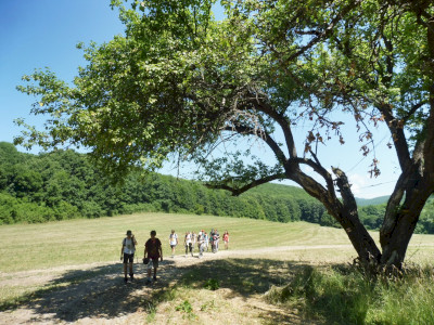 P1070057
