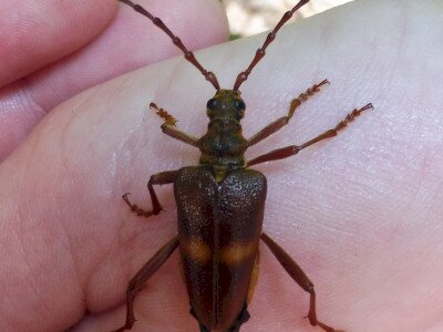 P1070064