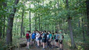 „Bikk-Betyár” természetismereti tábor - betelt