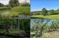 Biodiverzitás vetélkedő
