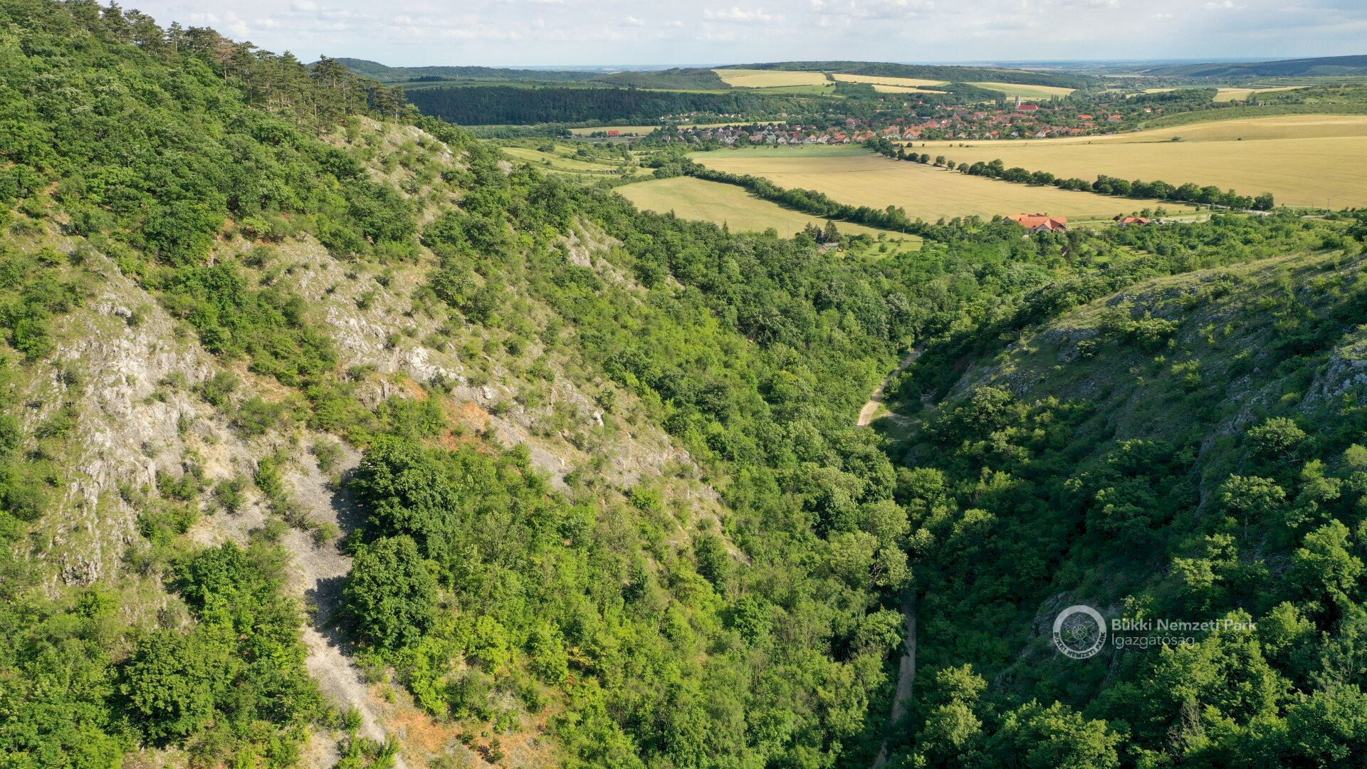 BNPD_Hor_valley