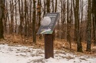 Cs
