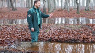 bükki nemzeti park igazgatóság, kehop, kisvizek, nógrád, mátra, ipoly, cserhát