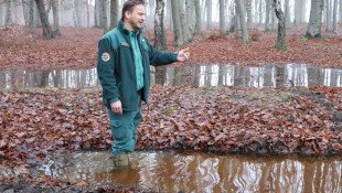bükki nemzeti park igazgatóság, kehop, kisvizek, nógrád, mátra, ipoly, cserhát
